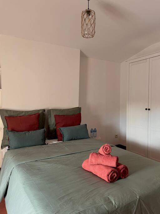 Appartement A Pied Du Centre Avec Place De Parking Arles Luaran gambar